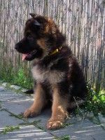 /album/a7-weeks/stenka-b-vrh-106-jpg/